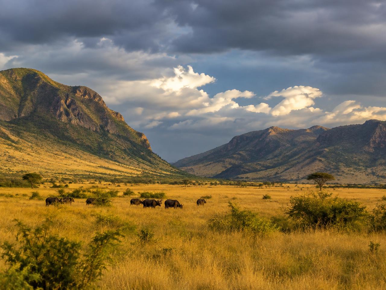 A Practical Uganda Safari Packing List