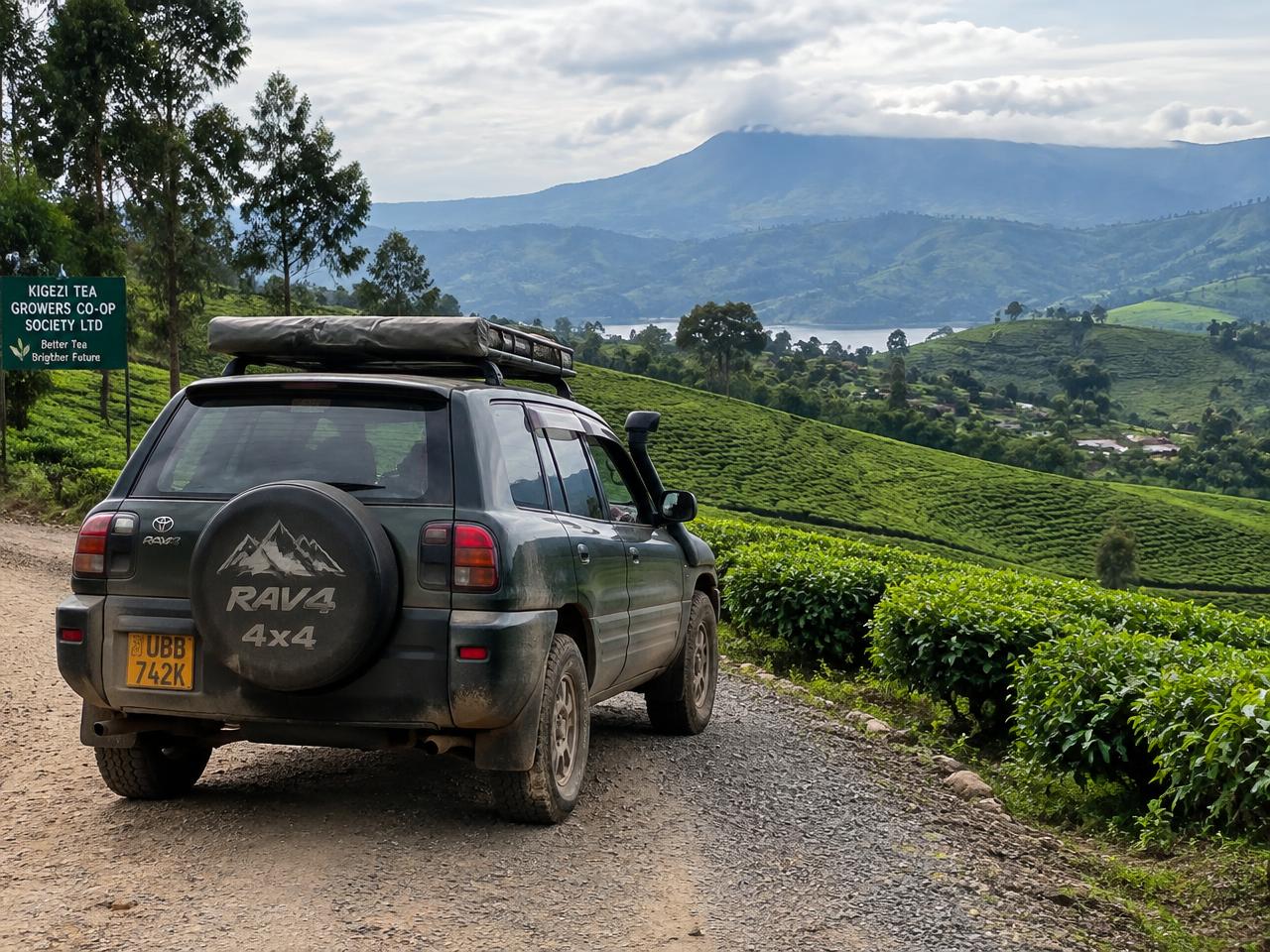 Compact 4x4 safari jeep on a gravel road through Ugandan tea plantations